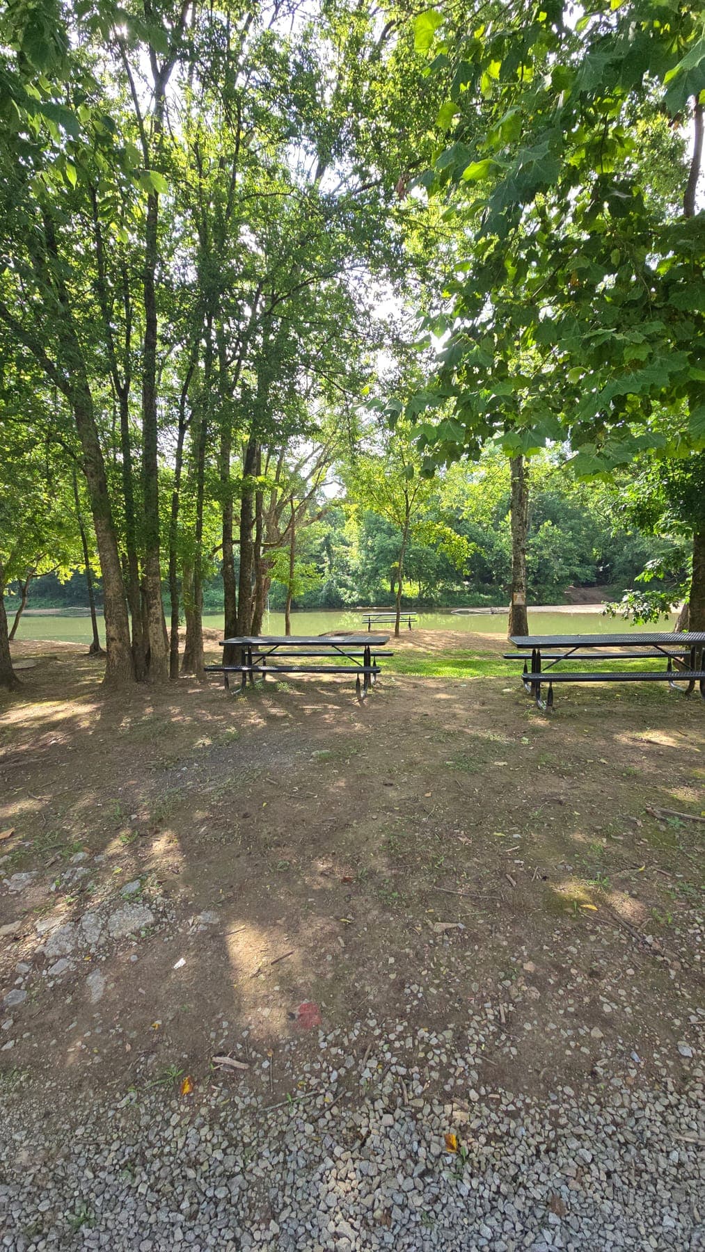 Picnic tables under the trees at the riverbank