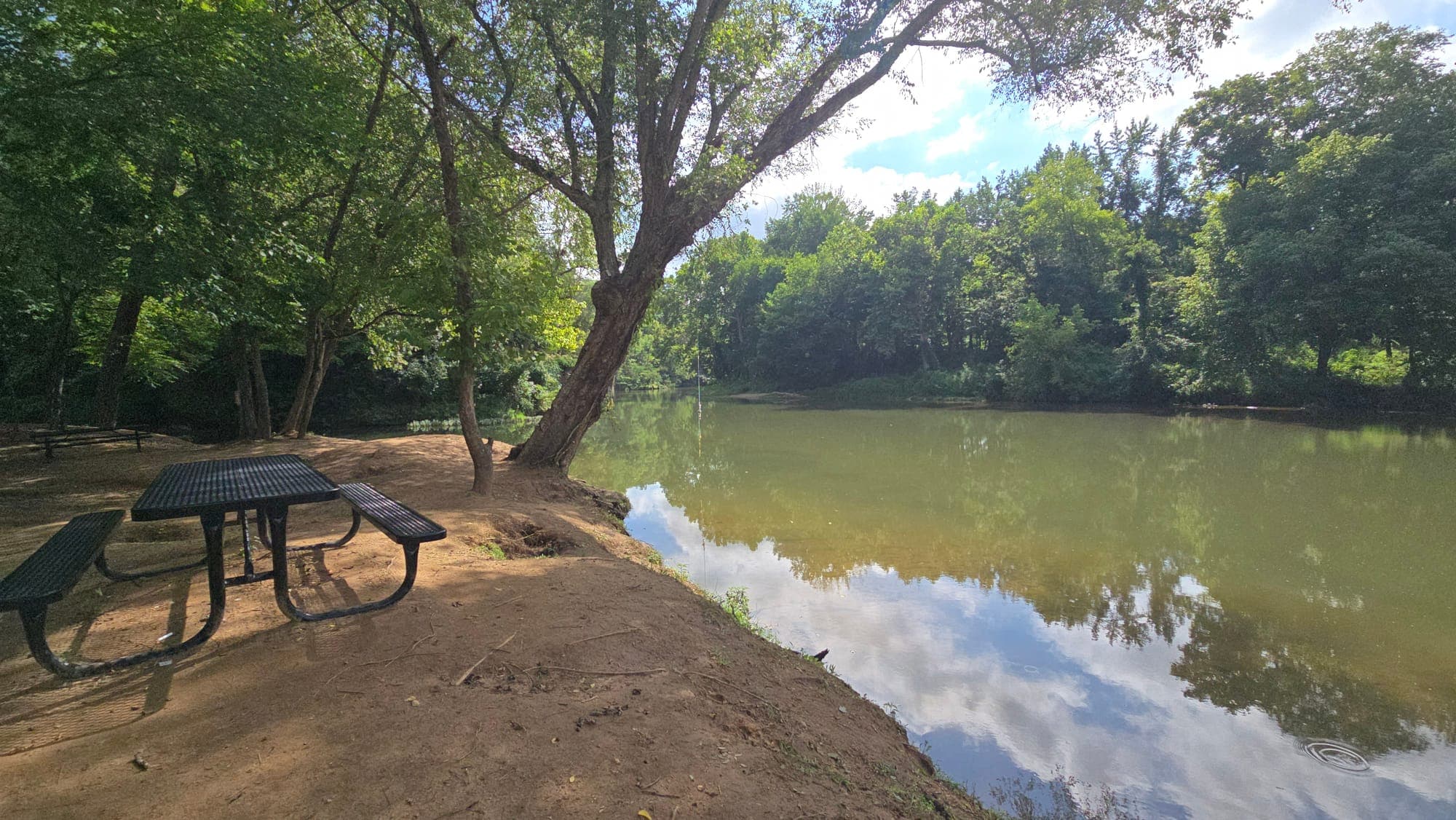 Shaded riverbank overlooking the Buffalo River