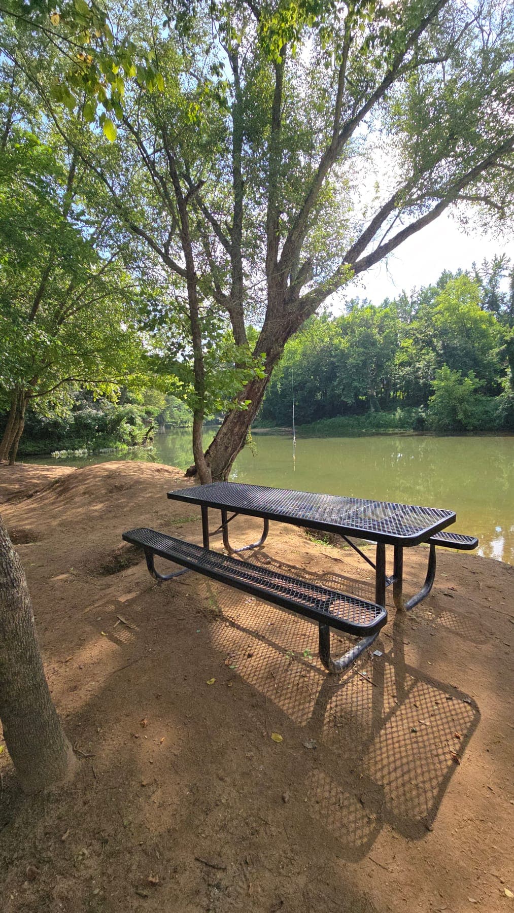 Rope swing hanging over a calm green stretch of the Buffalo River