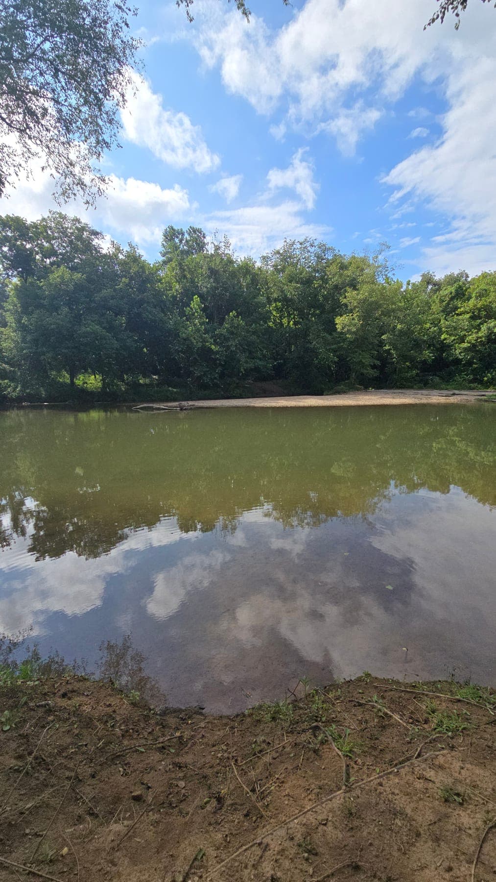 Swimming hole and gravel bar on the Buffalo River